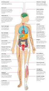 The Comprehensive Guide to Alcohol’s Impact on Your Health