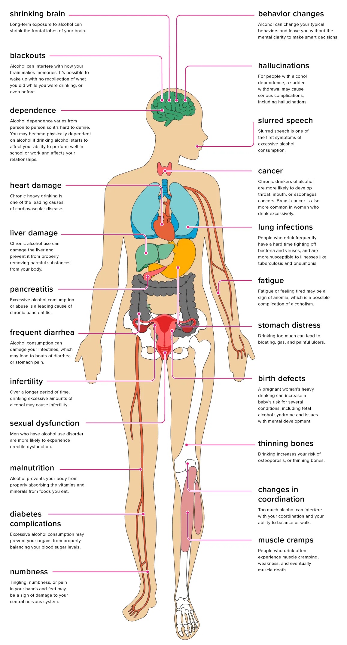 Read more about the article The Comprehensive Guide to Alcohol’s Impact on Your Health